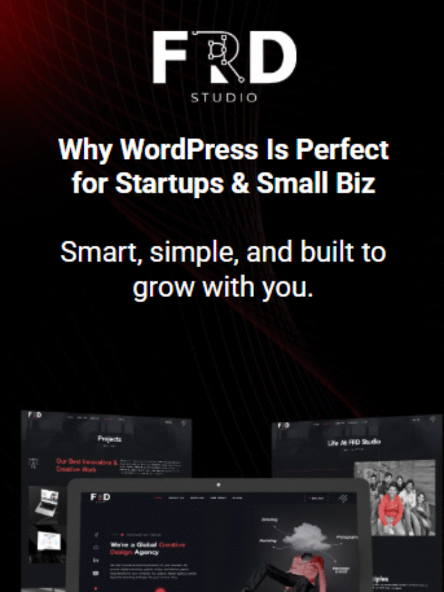Why WordPress Is Perfect for Startups & Small Biz
